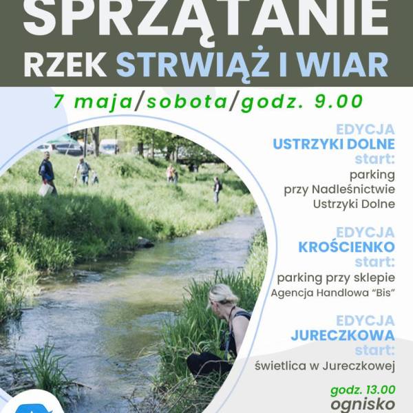 Sprzątanie Strwiąża 